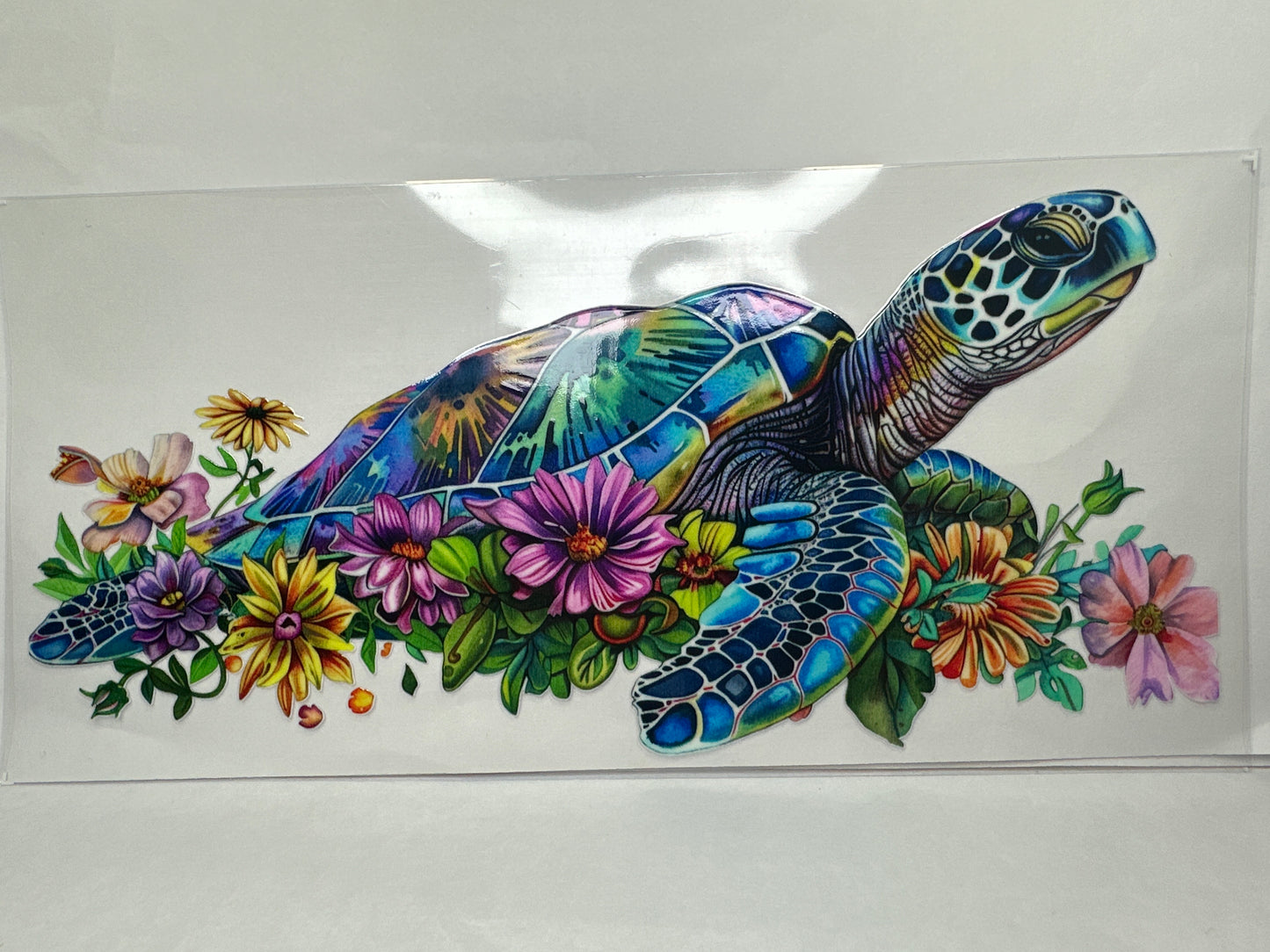 Turtle