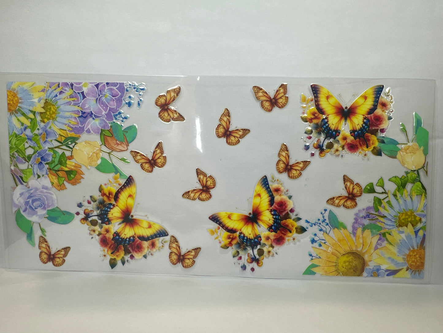 Butterfly’s