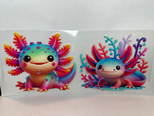Axolotl