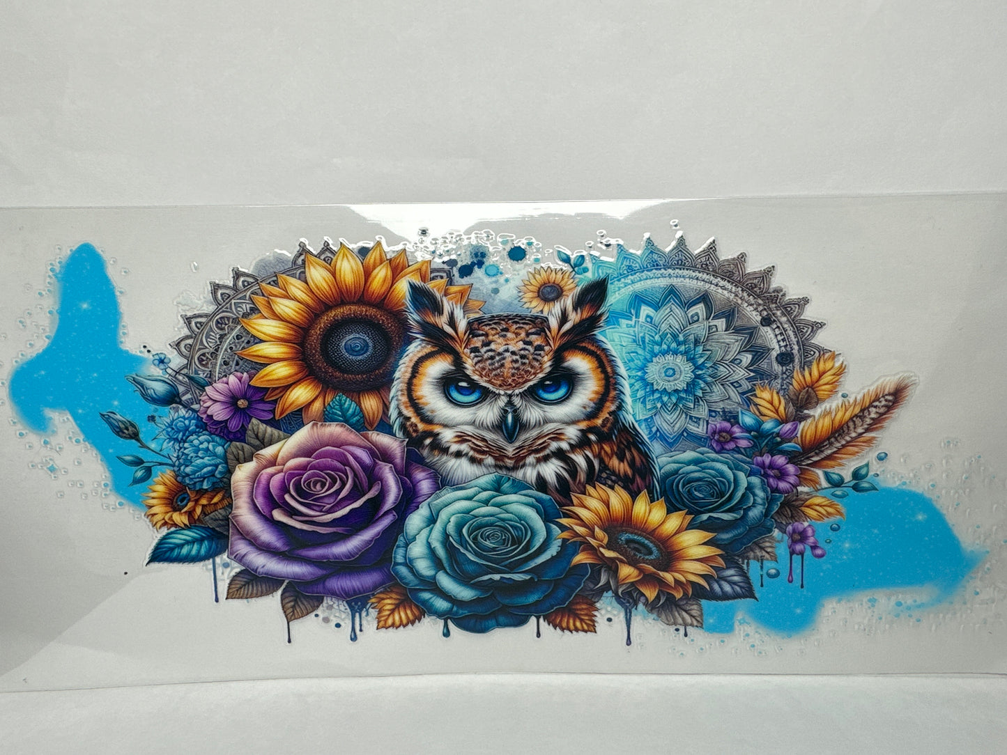 Owl