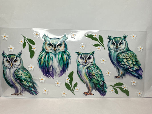 Owl