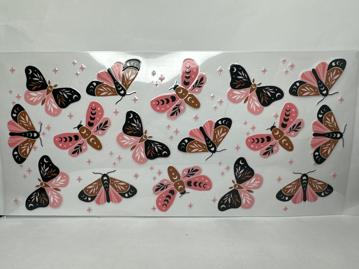 Moths